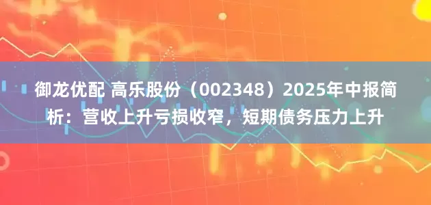 御龙优配 高乐股份（002348）2025年中报简析：营收上升亏损收窄，短期债务压力上升